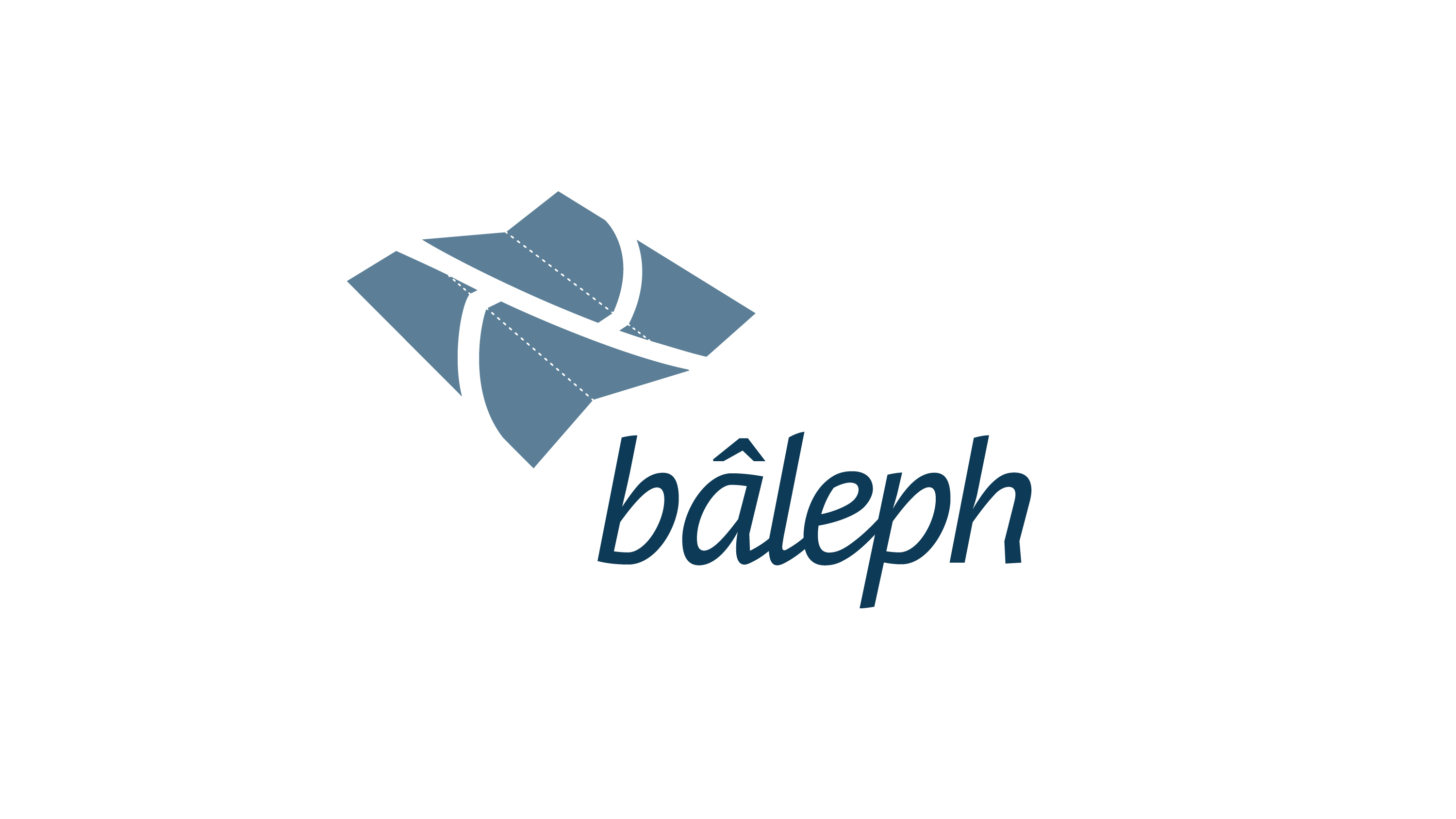 foerm-logo-baleph.jpg