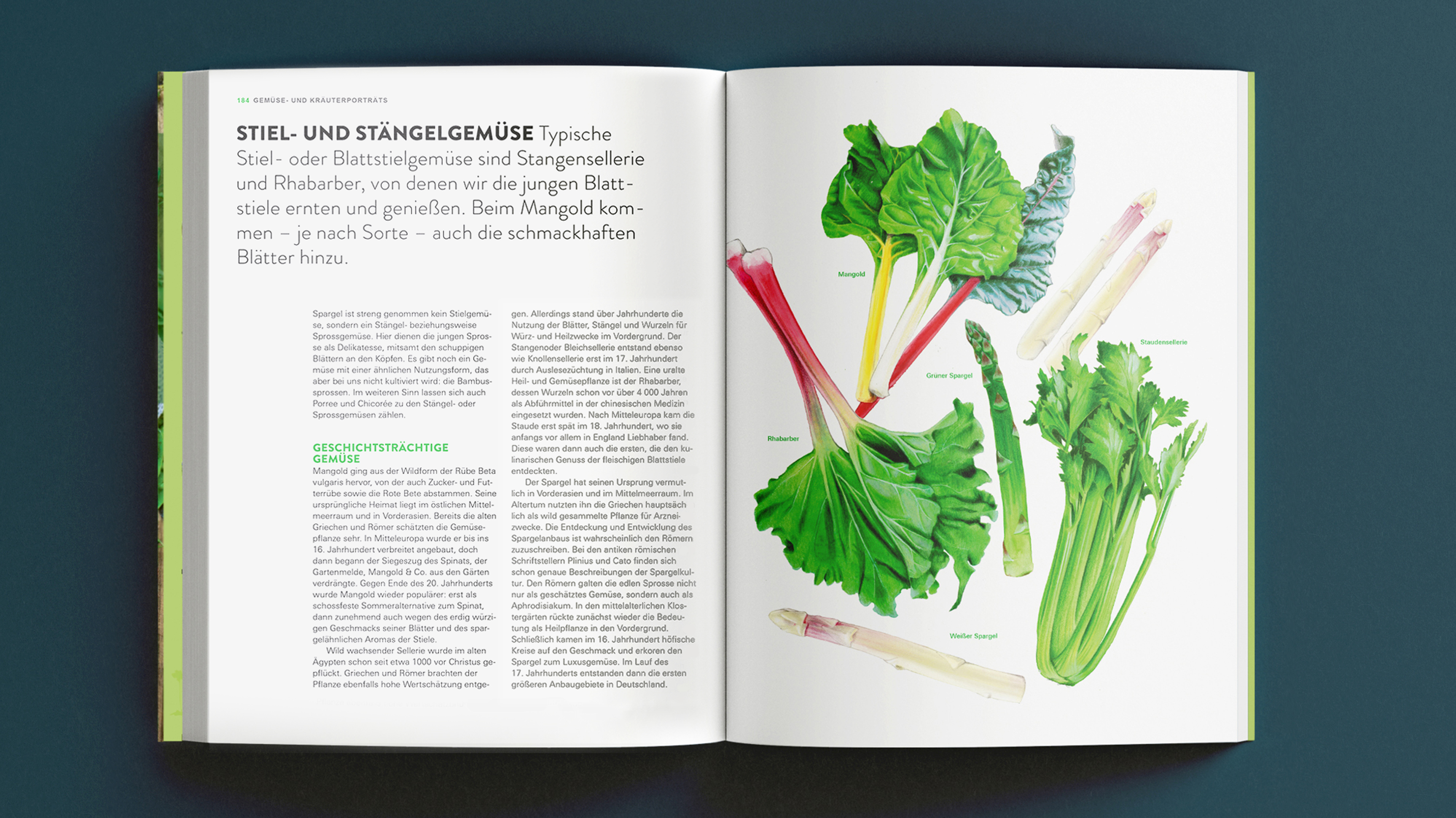 foerm-stiftung-warentest-buchseite-stielgemuese.jpg